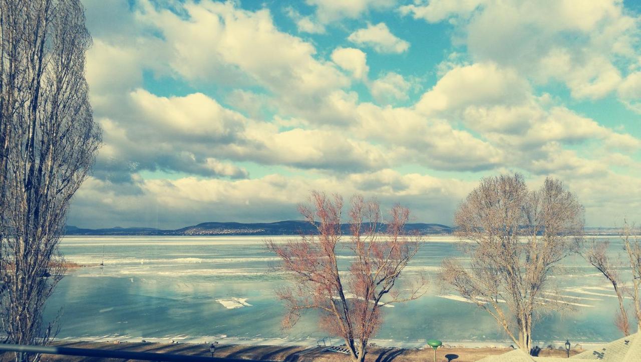 Panoramic Art Apartment With Jacuzzi Balatonlelle Esterno foto